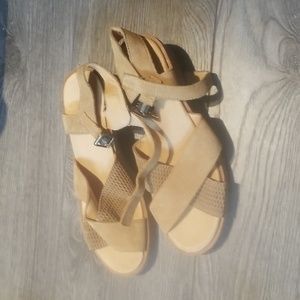 COPY - El Naturalista new